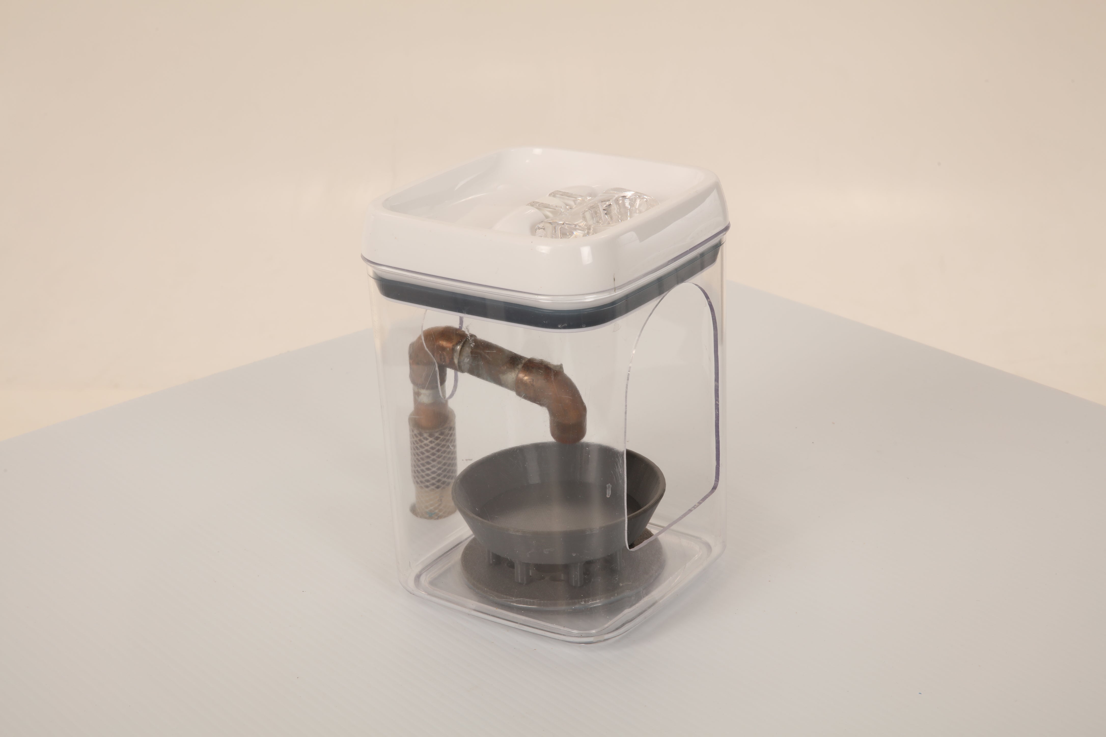 songbird watering station