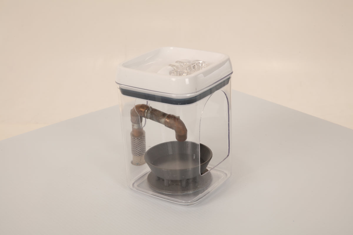 songbird watering station